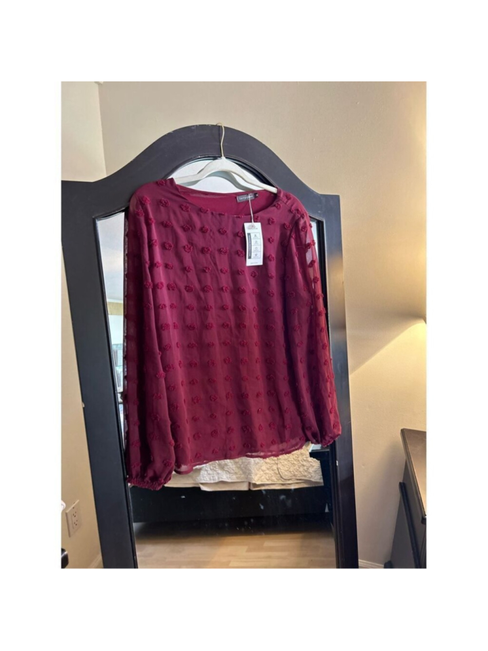 NEW Swiss Dot Chiffon Long Sleeve Shirts Top M